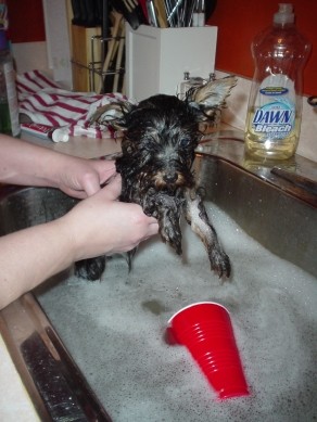 1095Tucker_Bath