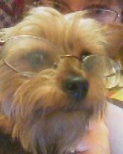 1106Spirit_with_glasses