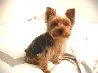 1133mason_on_bed1