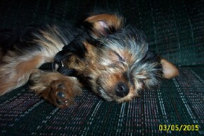 1221Frankie