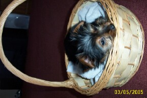 1221Frankie_1