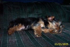 1221Frankie_2