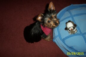 1221Frankie_5