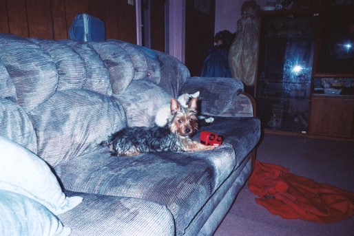 1328scrappydoo_playing_with_toy_2004_514_x_343_