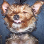 1492Smile_