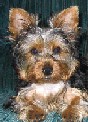 1553Bella05-30-05