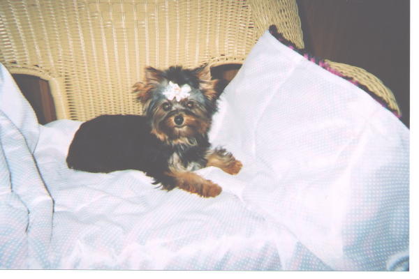 165Coco-5mos