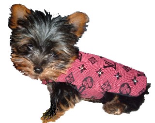 1730Web_WEB_chloe