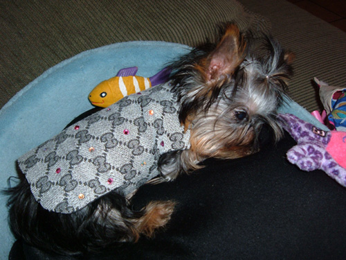 1730chloe-sleeping