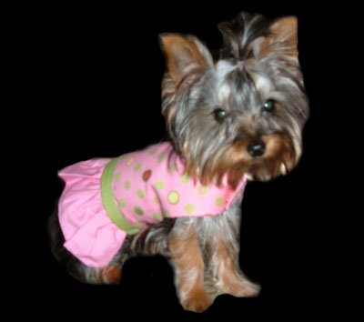 1730web-chlooe-in-pinktank