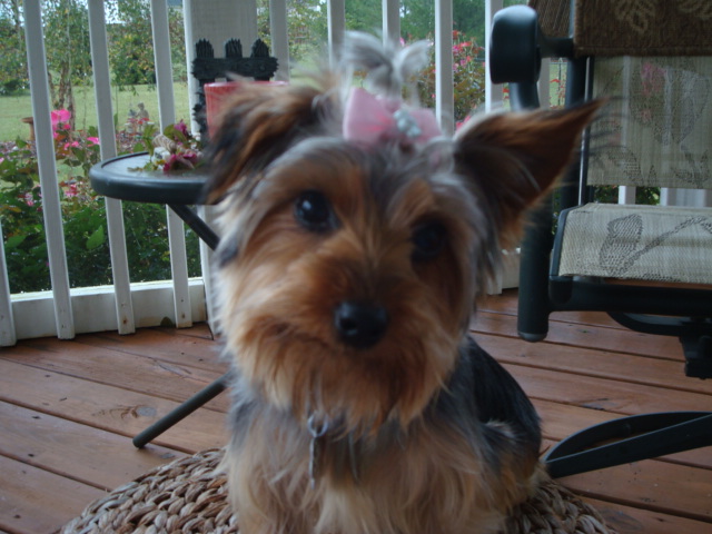 1st_Pictures_of_Fancy_Sept_16_2009_014