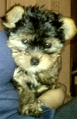 1st_day_home_cropped