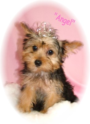 2000myangel