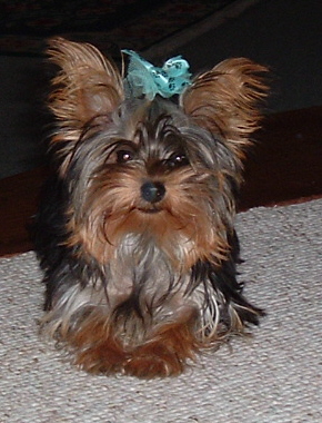 2004_0126Image0020