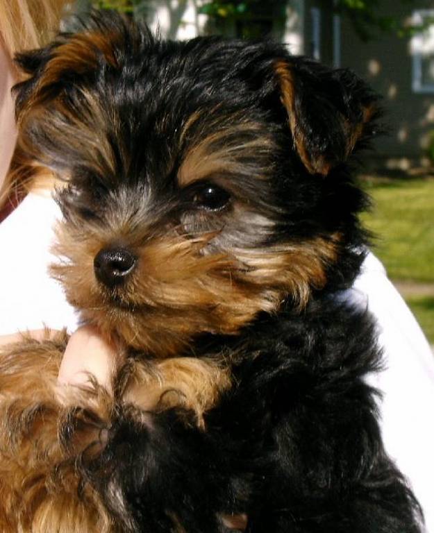 20052005Max1
