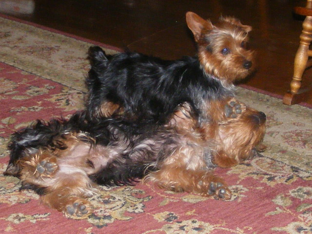 2007_0516Family0008