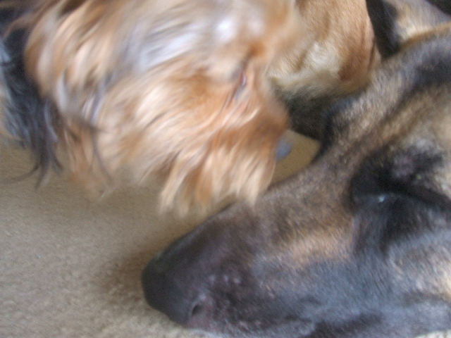 2007_0605Image8