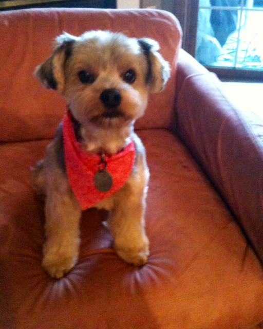 2012_-_03-31-12_Teddy