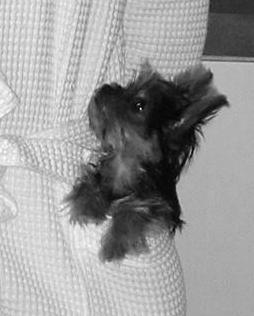 201303_Jul_009a
