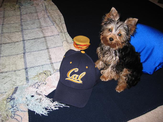 2014daddy_s_hat