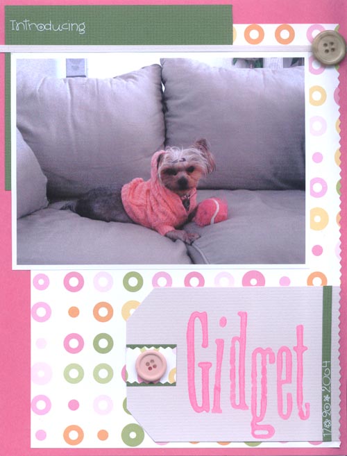 2103introducing_gidget