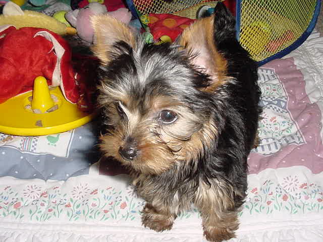 21905-14-05_11_wks_
