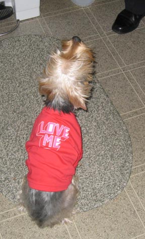 224pic0034
