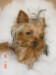 236Tatum_baby_56_x_75_