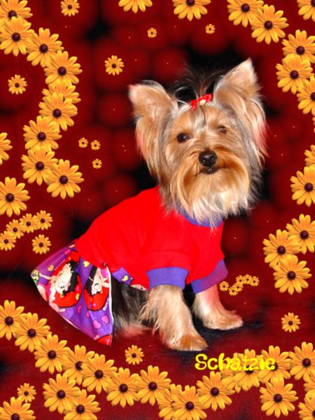 261schatzie_in_betty_boop_dress_3-05_yt