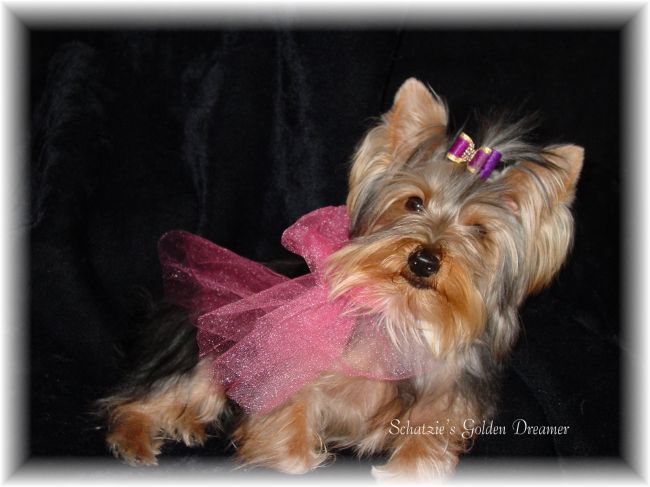 261schatzie_in_pink