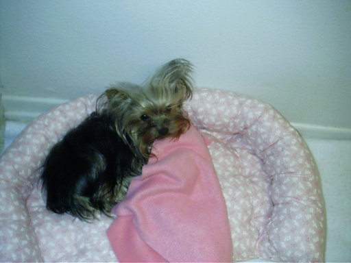 2827nikki_ready_for_bed