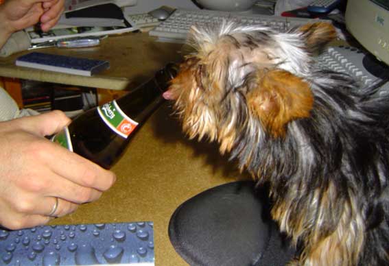 2844oelhund