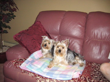 2_Boys_on_Blanket_Resized