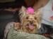 3260zoey_016