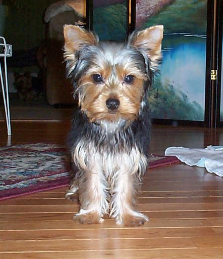 3397Zeus_Oct_2003_2