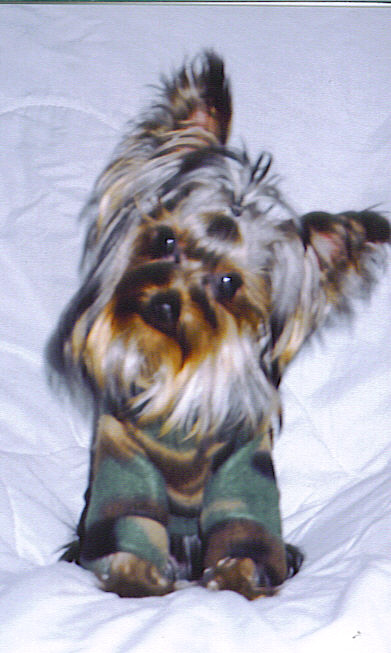3427Gus_4