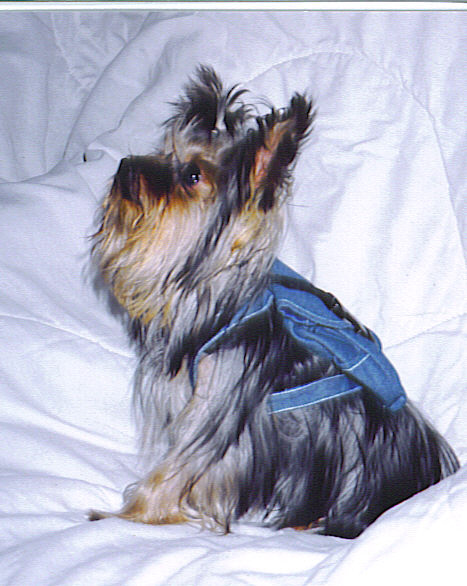 3427Gus_5