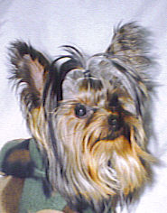 3427Gus_6