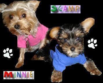 3465minnie_scamp2
