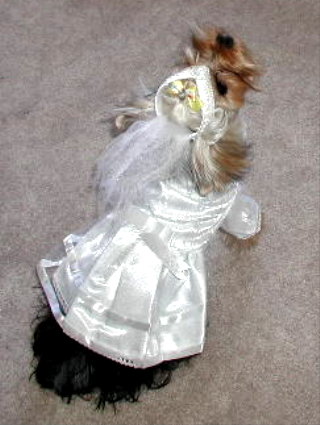 352wedding4