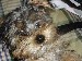 3Picture_009