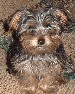 42004_0915Pics0080