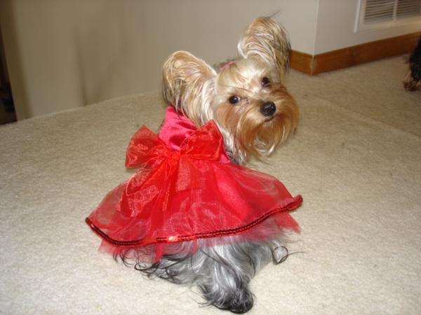 4th_july_toots