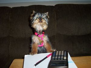 651Magic_studying