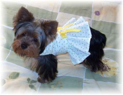 742MaddieWhiteDress2