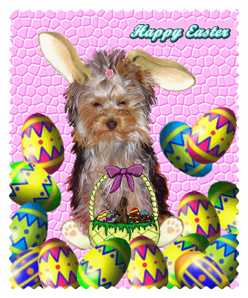 811Easter-Sweetie-1-05