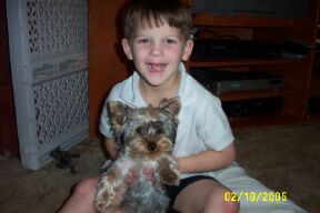 903Gizmo_Austin2