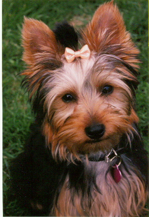 910Scan00021