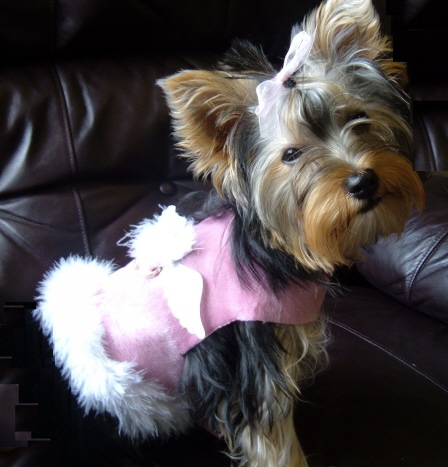 952pinktinkyangel