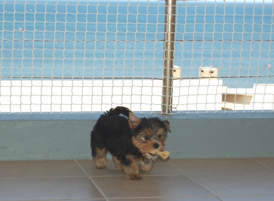 9_Weeks_7_